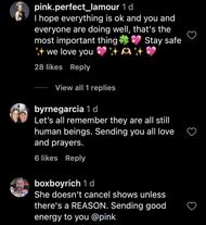 Fans' comments on the singer's Instagram post (Image via Instagram/@pink)